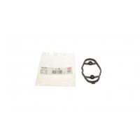 Прокладка насоса топливного BMW 3 /5 2.0-4.4 13-(B38/B58/B48/N20/N63)