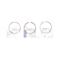 Кольца поршневые BMW X5 (F15/F85/G05/F95)/X6 (F16/F86/G06/F96) 14- (89.00mm/STD) (1.2-1.5-2) N63/S63