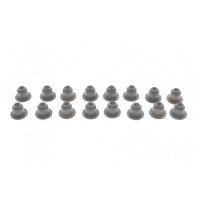 (к-кт) Сальник клапана BMW X5/X6 4.4/4.8/5.0i 03- , N63/N74/N40/N42/N45/N46/N62