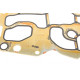 Прокладка радиатора масляного BMW 1 (F20/F21)/3 (E90/E91)/4 (F32/F82) 1.6D/2.0D/3.0D 06- N47