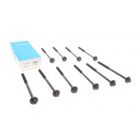 (к-кт 10шт.) Болты головки BMW 3 (E90/F30/F80/G20/G80)/5 (E60/F10/G30/F90)/X5 (F15/F85) 03- N47 D20