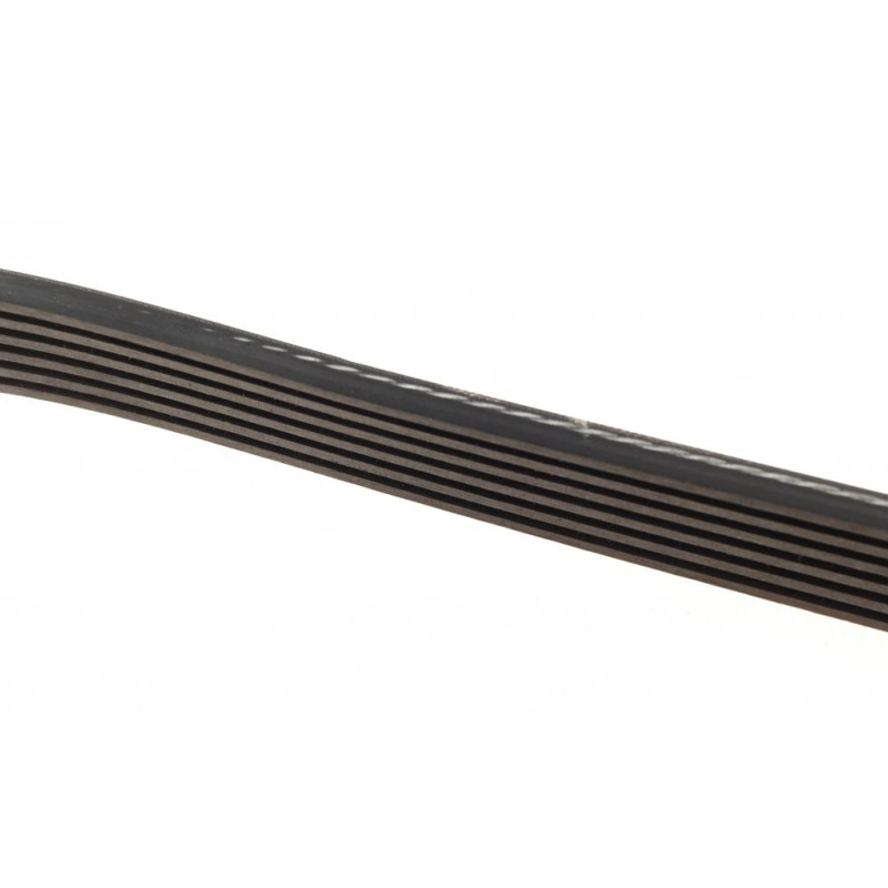 Ремень генератора Fiat Scudo/Citroen Berlingo/VW Golf IV 1.8/1.9TDI 97- (6PK1660)