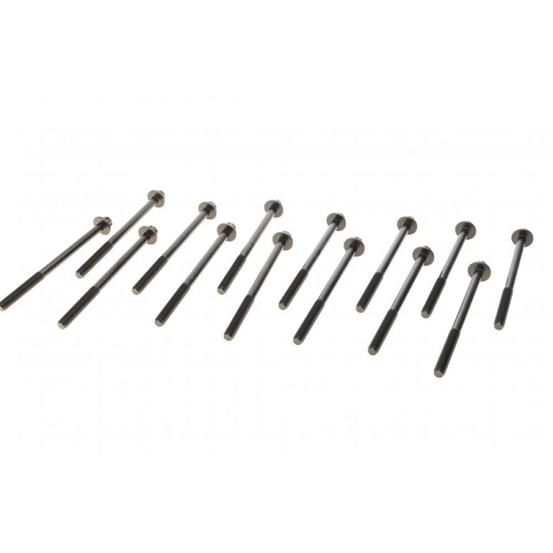 (к-кт 14шт.) Болты головки BMW 5 (F10/G30/F90)/7 (F01-F04/G11/G12) 11- B57/N57, (M50d)