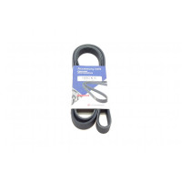 Ремень генератора Fiat Scudo/Citroen Berlingo/VW Golf IV 1.8/1.9TDI 97- (6PK1660)