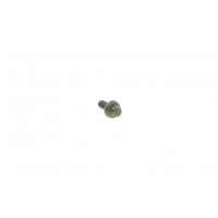 Болт (M7x17.3mm) BMW 3 (E90-E93/F31)/5 (E60/F10/F11)/X3 (E83/E25)/X5 (F15/25) 04- N47