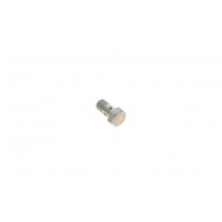 Болт турбины (M10x1х19mm) BMW 5 (F10/F18)/X5 (F15/F85) 10- N47/B37/M51/M57